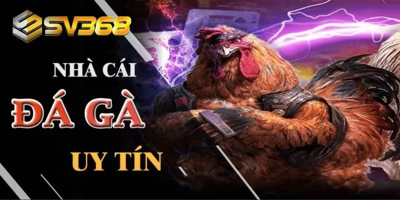 SV368 và 3squareassociates đều là những ông lớn trong ngành game online.